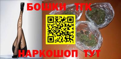 индика Камышлов