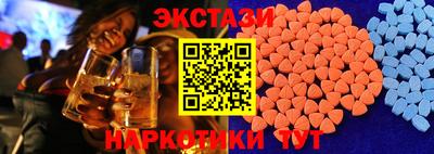 индика Камышлов