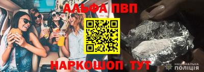 индика Камышлов