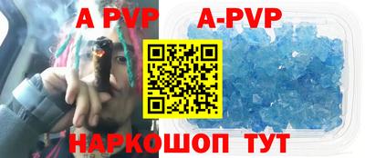 индика Камышлов