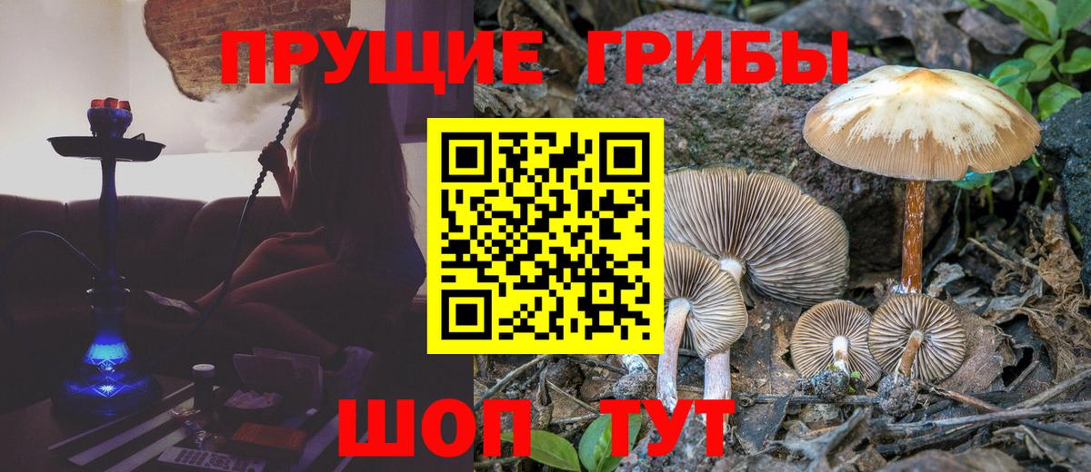 Галлюциногенные грибы Cubensis Кувандык