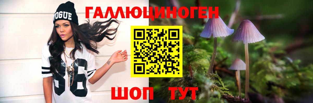 Галлюциногенные грибы MAGIC MUSHROOMS  Вход с VPN  цены наркотик  Кувандык 